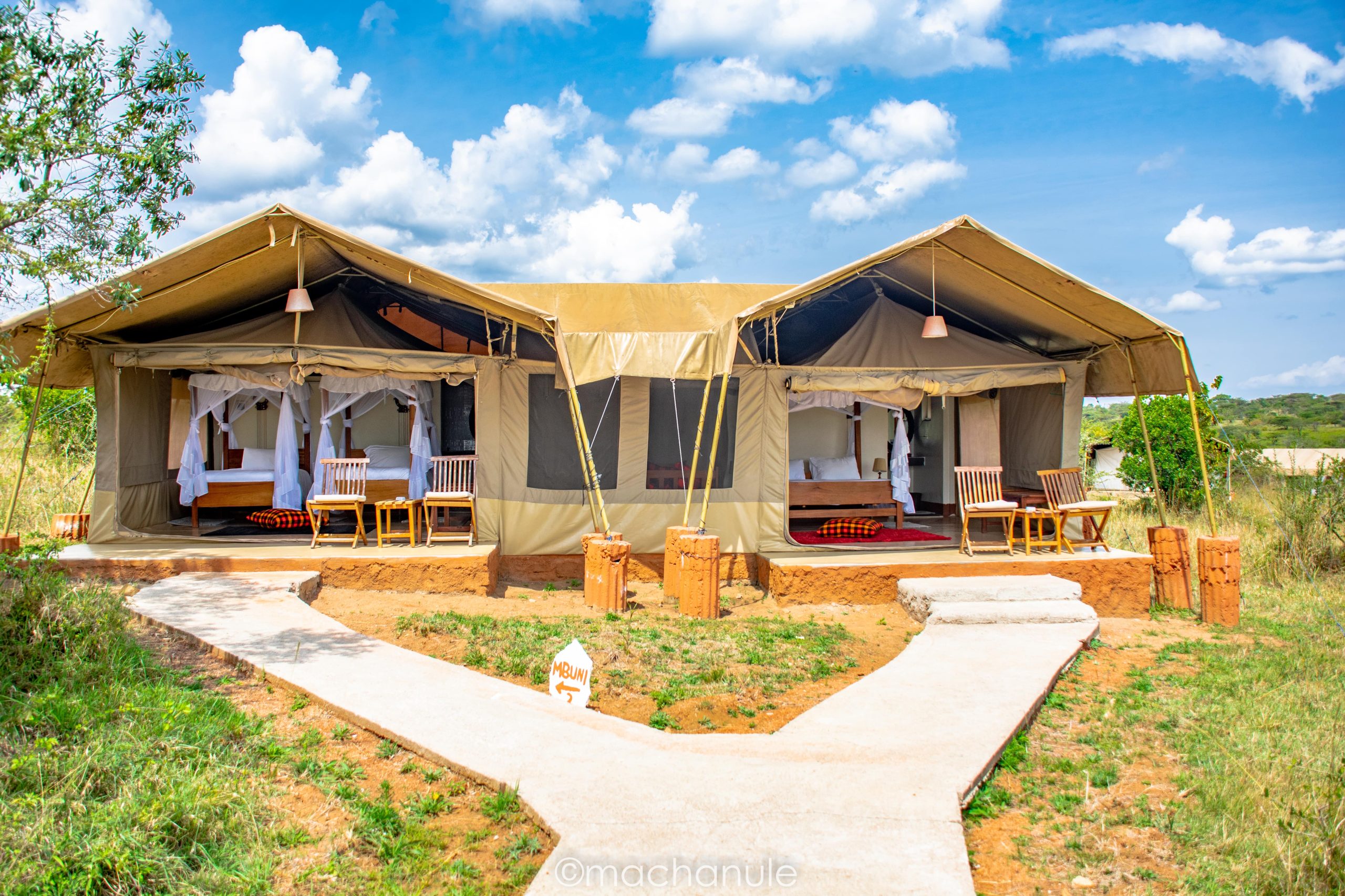 2 Days Fly In Masai Mara Safari