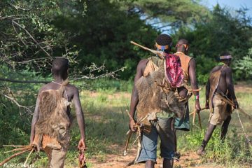 3 Days Budget Safari to Hadzabe and Datoga Tribes