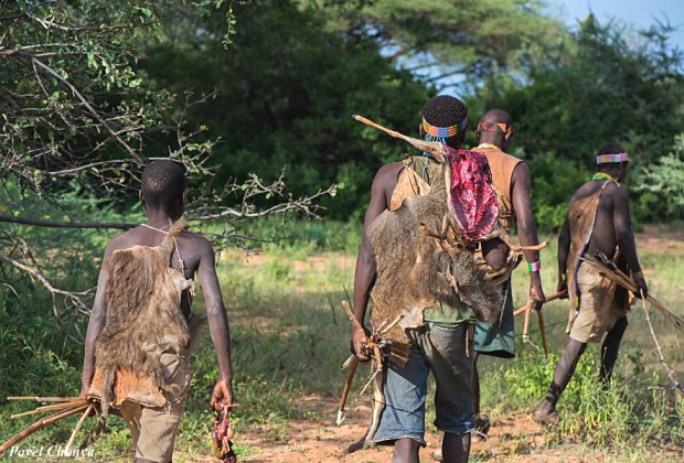 3 Days Budget Safari to Hadzabe and Datoga Tribes