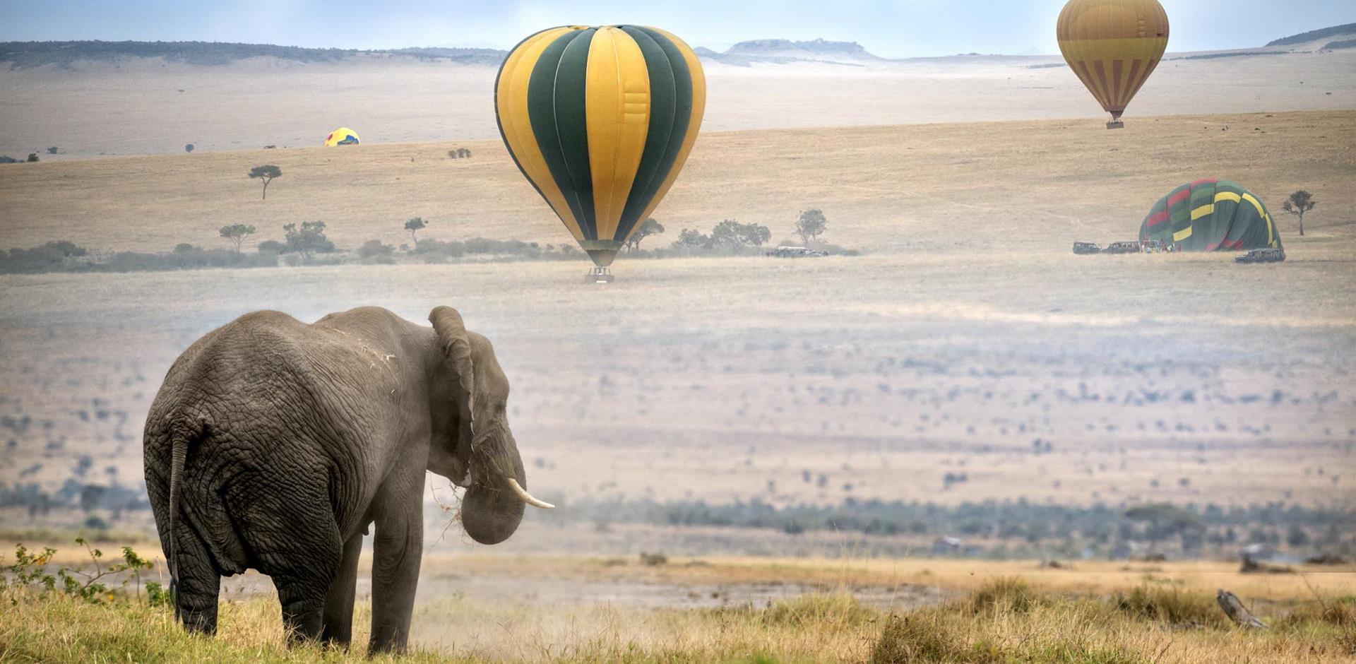 3-Days-Kenya-Safari-Masai-Mara-Ways-African-Safaris