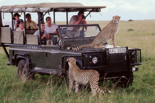 3 Days Masai Mara Safari Ways African Safaris