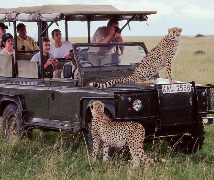 3 Days Masai Mara Safari Ways African Safaris