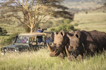 3 Days Mombasa Safari Tsavo East