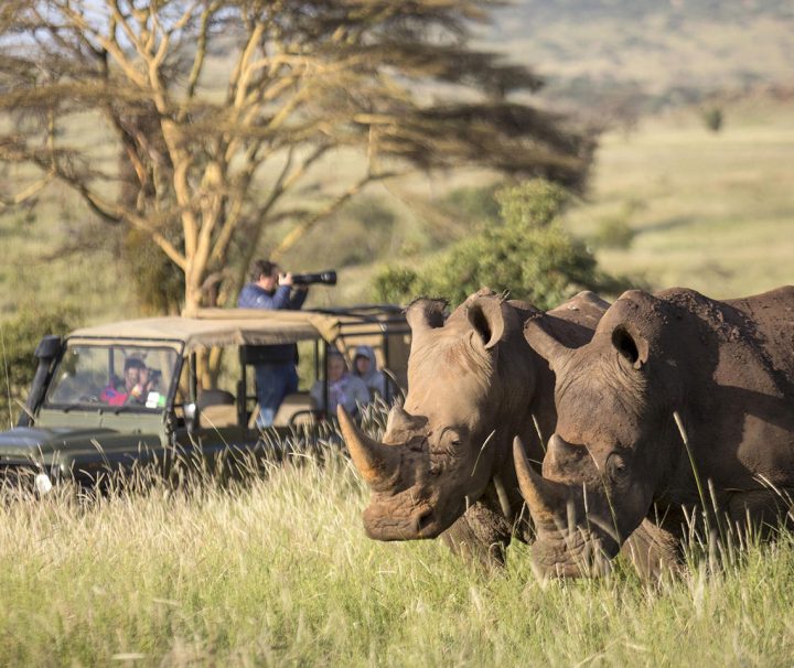 3 Days Mombasa Safari Tsavo East