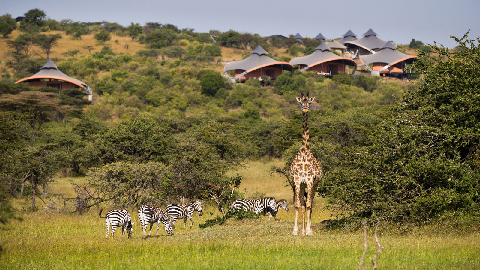 3 Days Mombasa Safari, Tsavo East