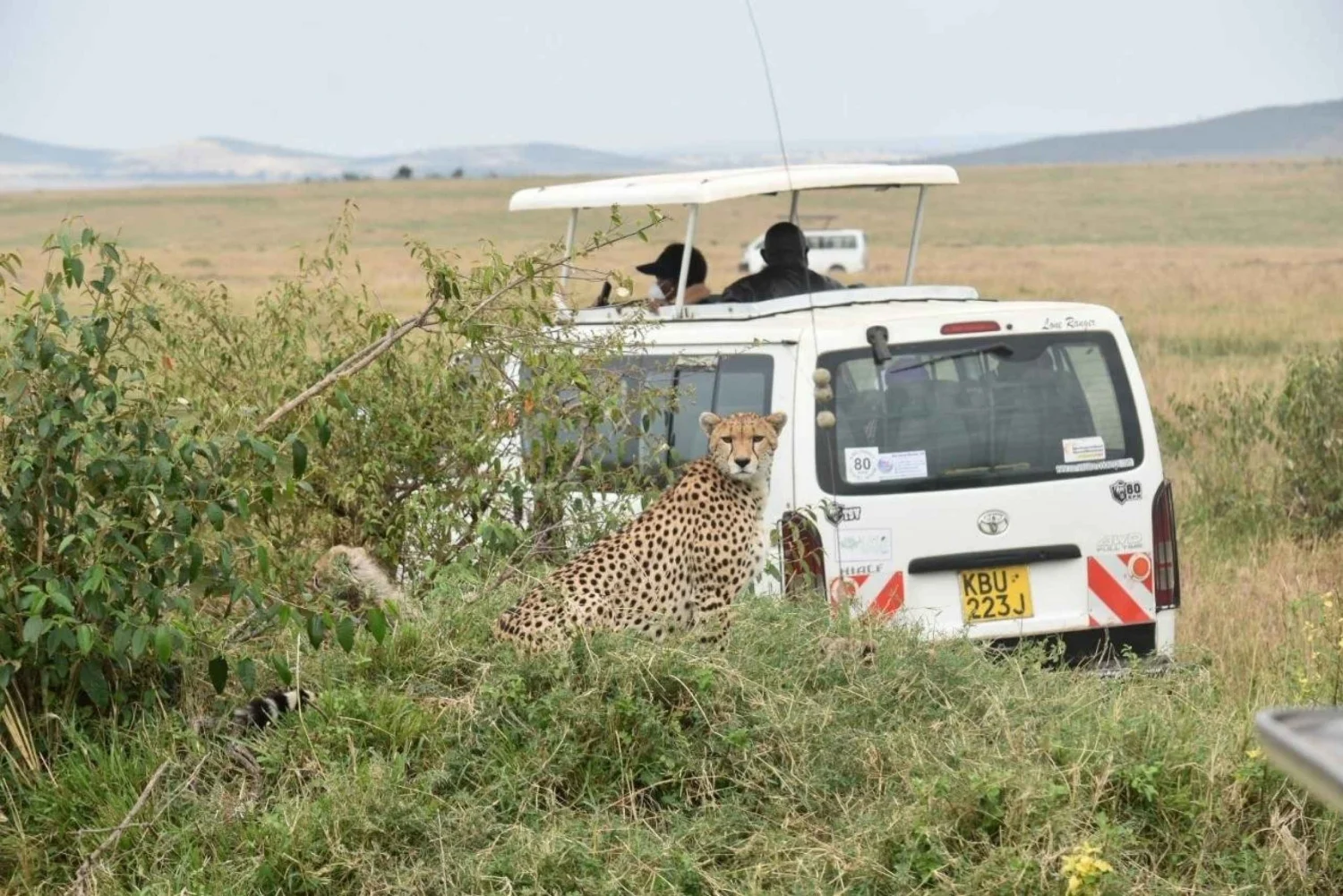 3 Days Mombasa Safari Tsavo East Ways African Safaris