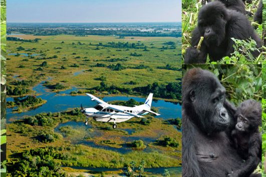 4 Days Uganda Gorilla Trekking Fly Tour Ways African Safaris