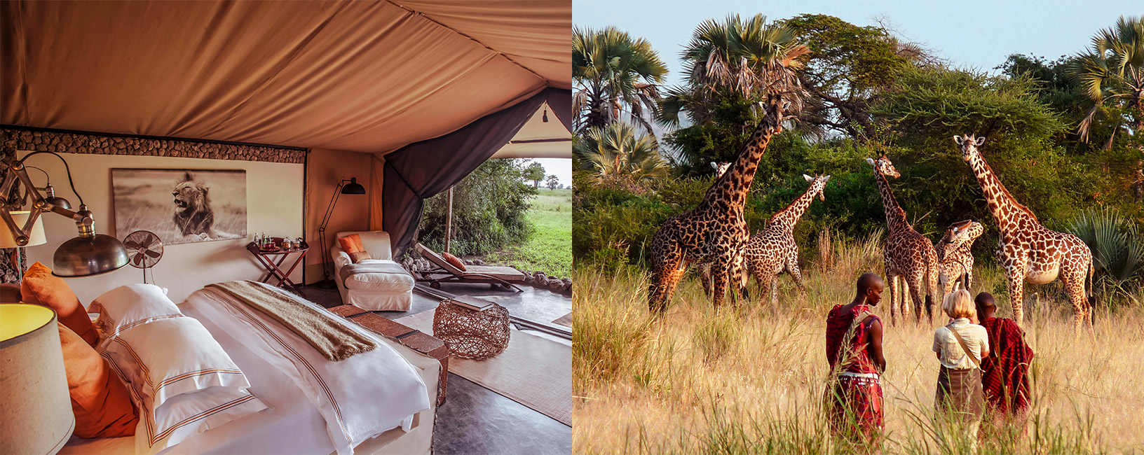 5 Days Tanzania Luxury Safari & Tours