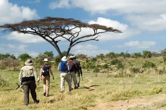 7 Day Adventure Walking Safari to Lake Natron