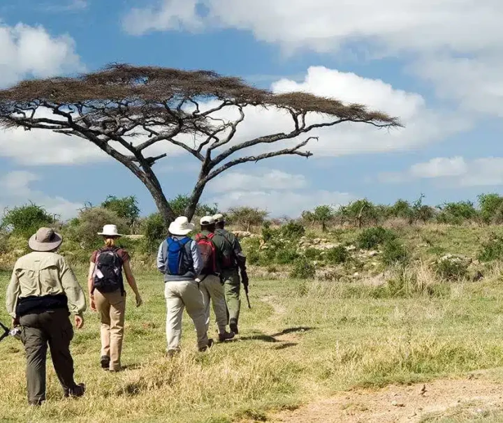 7 Day Adventure Walking Safari to Lake Natron