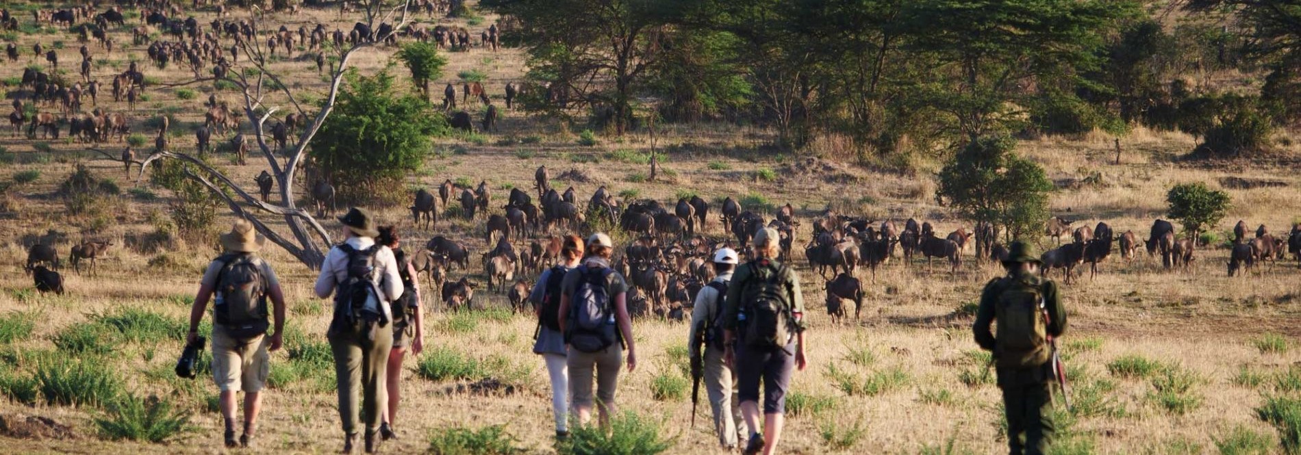 7 Day Adventure Walking Safari to Lake Natron