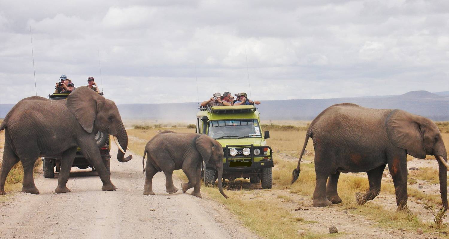 7 Days Kenya Budget Safari & Prices