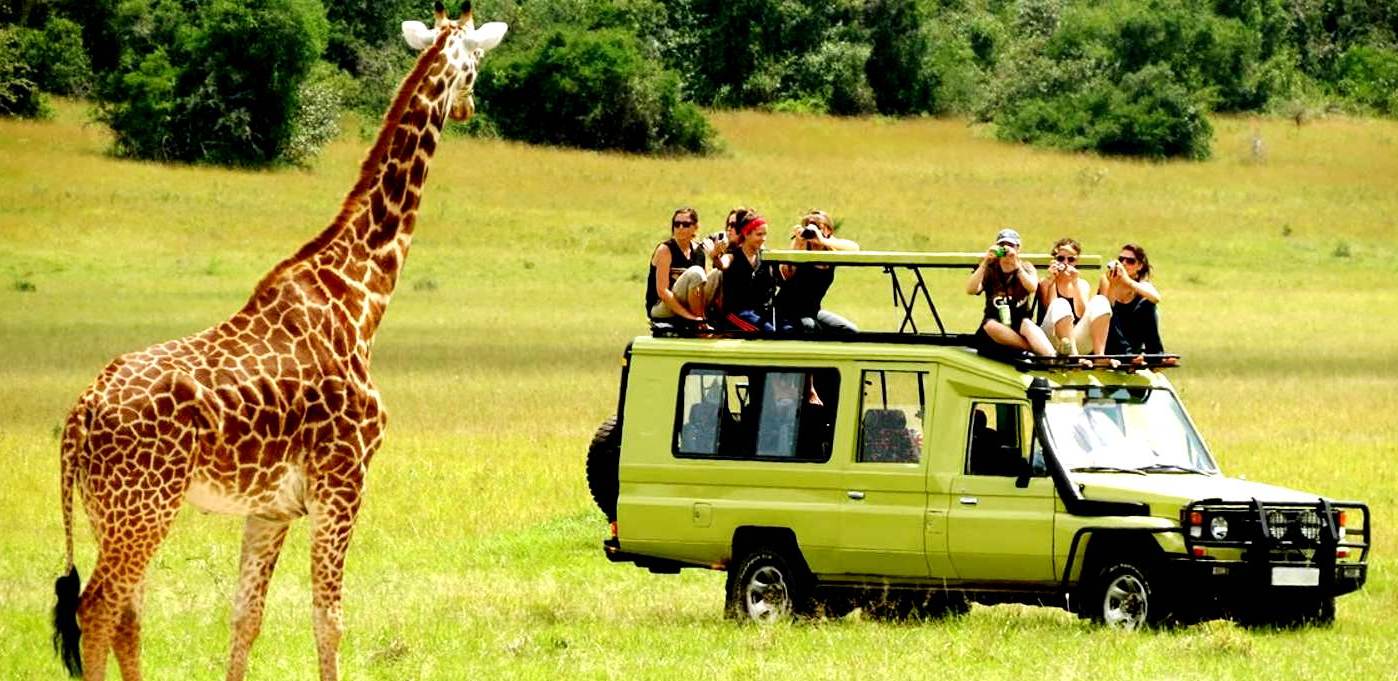 7 Days Kenya Budget Safari & Prices Ways African Safaris