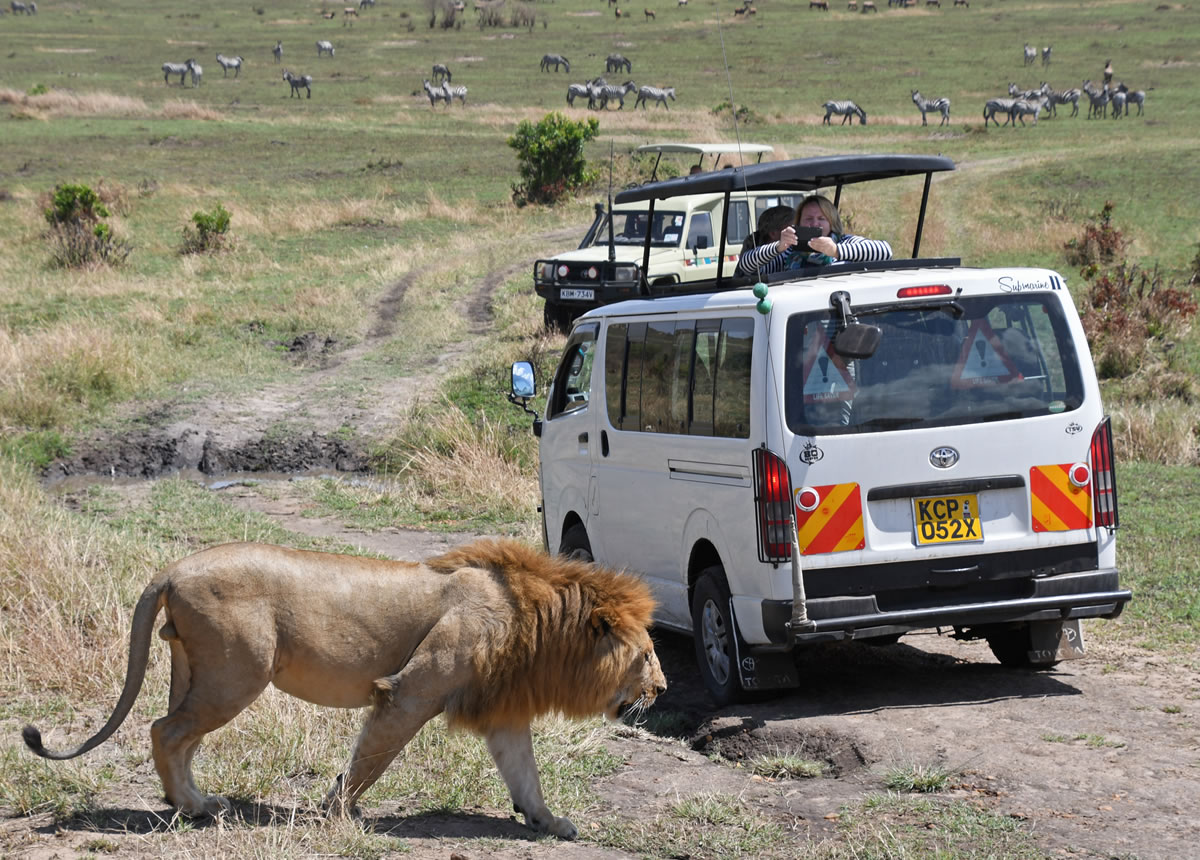 9 Days Kenya and Tanzania Migration safari Tour