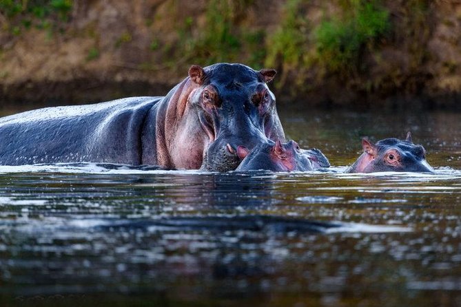 9 Days Safari Mikumi Ruaha and Selous