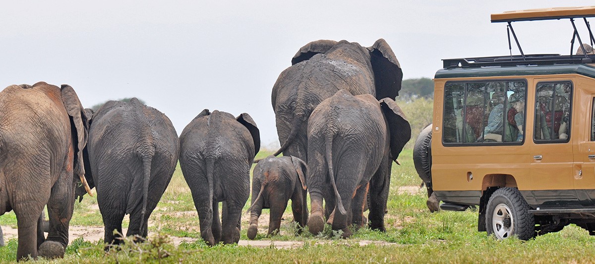 Day Trip Explore Tsavo East on a Safari from Malindi Watamu Ways African Safaris