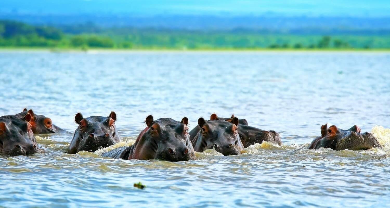 Day Trip to Lake Naivasha Kenya