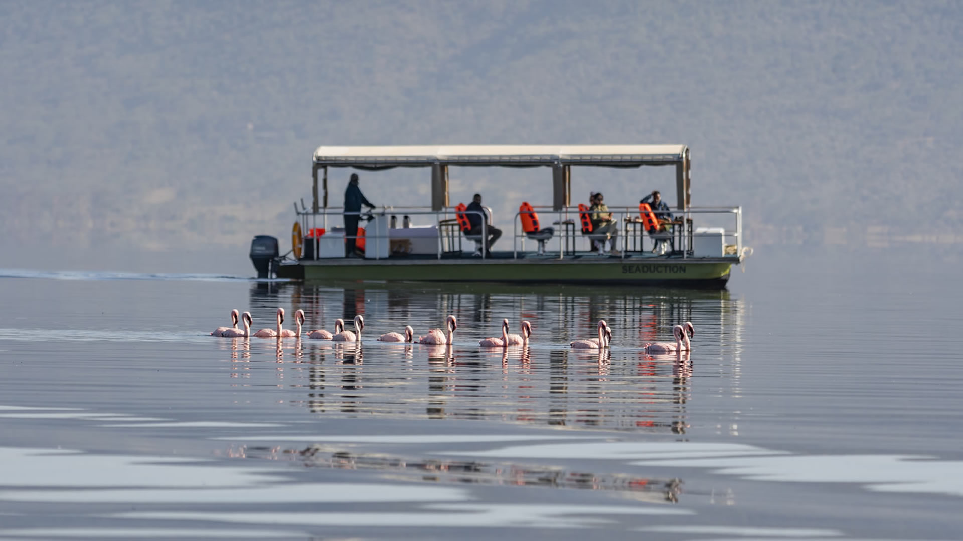 Day Trip to Lake Nakuru Ways African Safaris