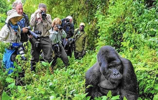 Rwanda Safaris Tours Prices