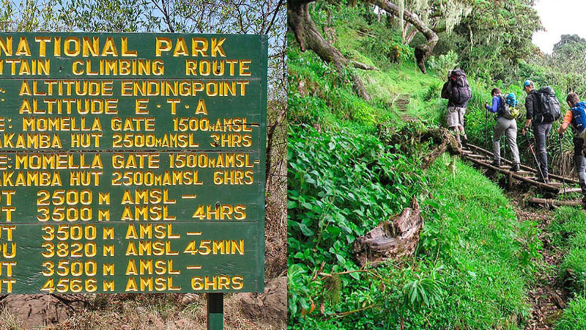 1 Day Hiking Mount Meru Climbing Arusha National Park Ways Africa