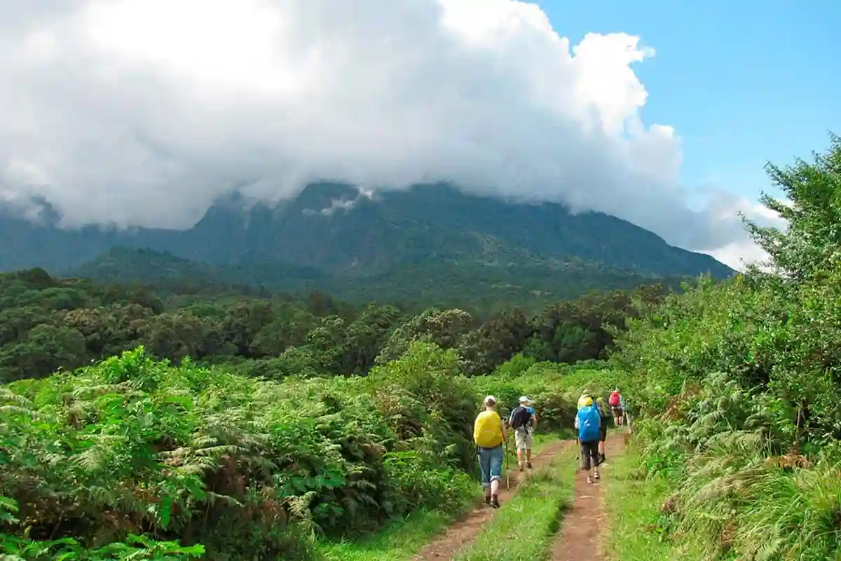 1 Day Hiking Mount Meru Climbing Arusha National Park Ways African Safaris