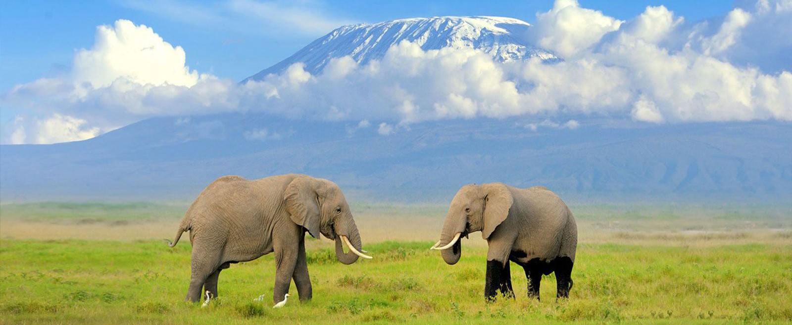 12 Days Mount Meru Trekking and Kilimanjaro Climb