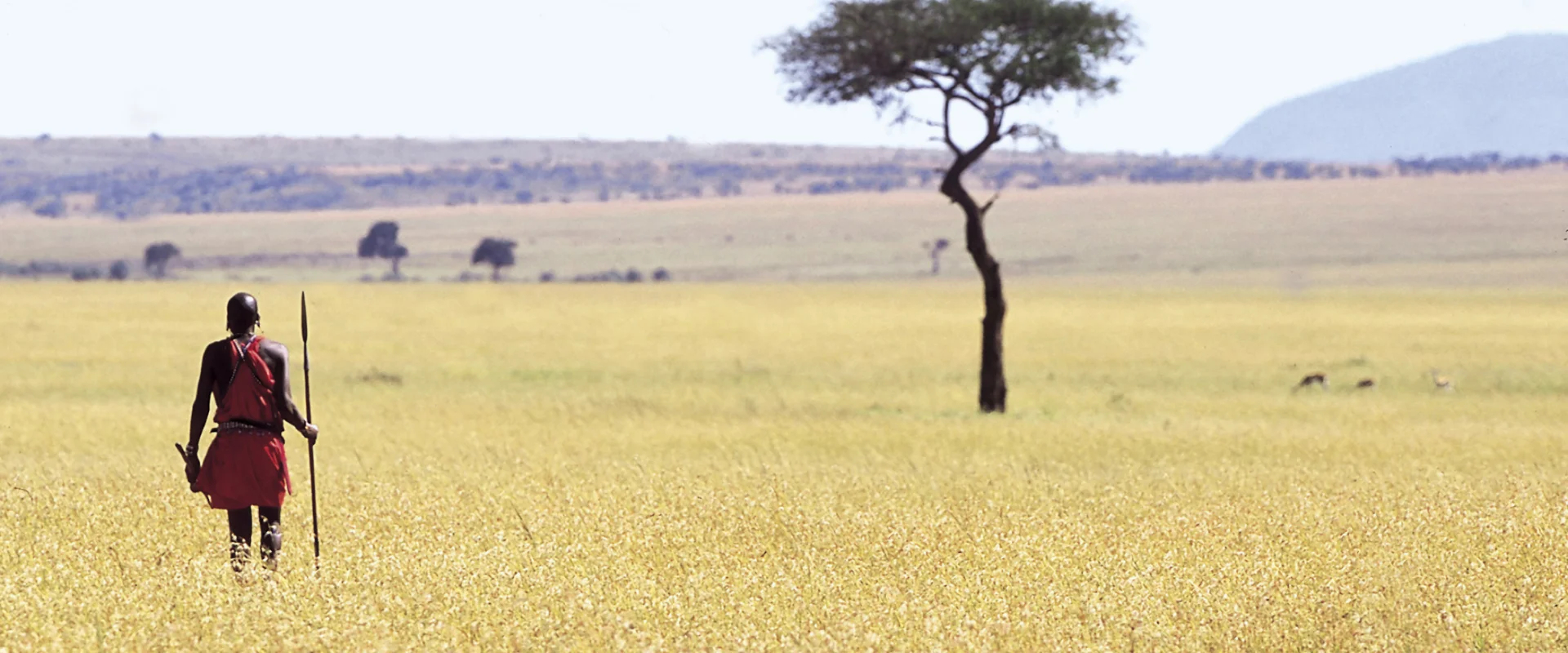 2 Days Olpopongi Maasai Village tour Ways African Safaris