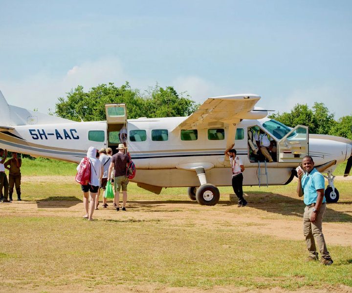 3 Days Safari from Zanzibar to Mikumi National Park