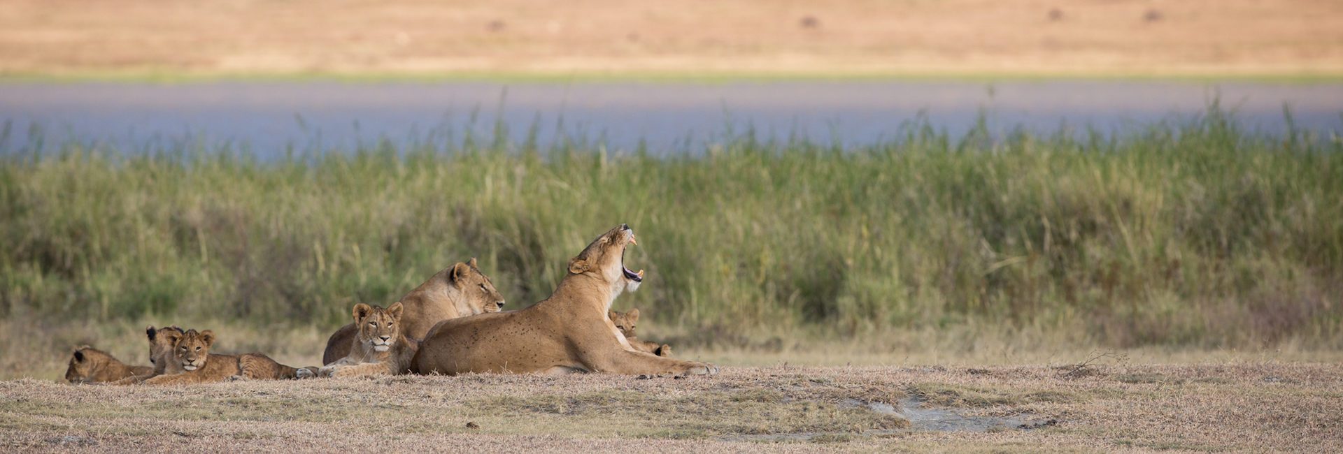 9 Day Mount Meru Climbing and Tanzania Safari