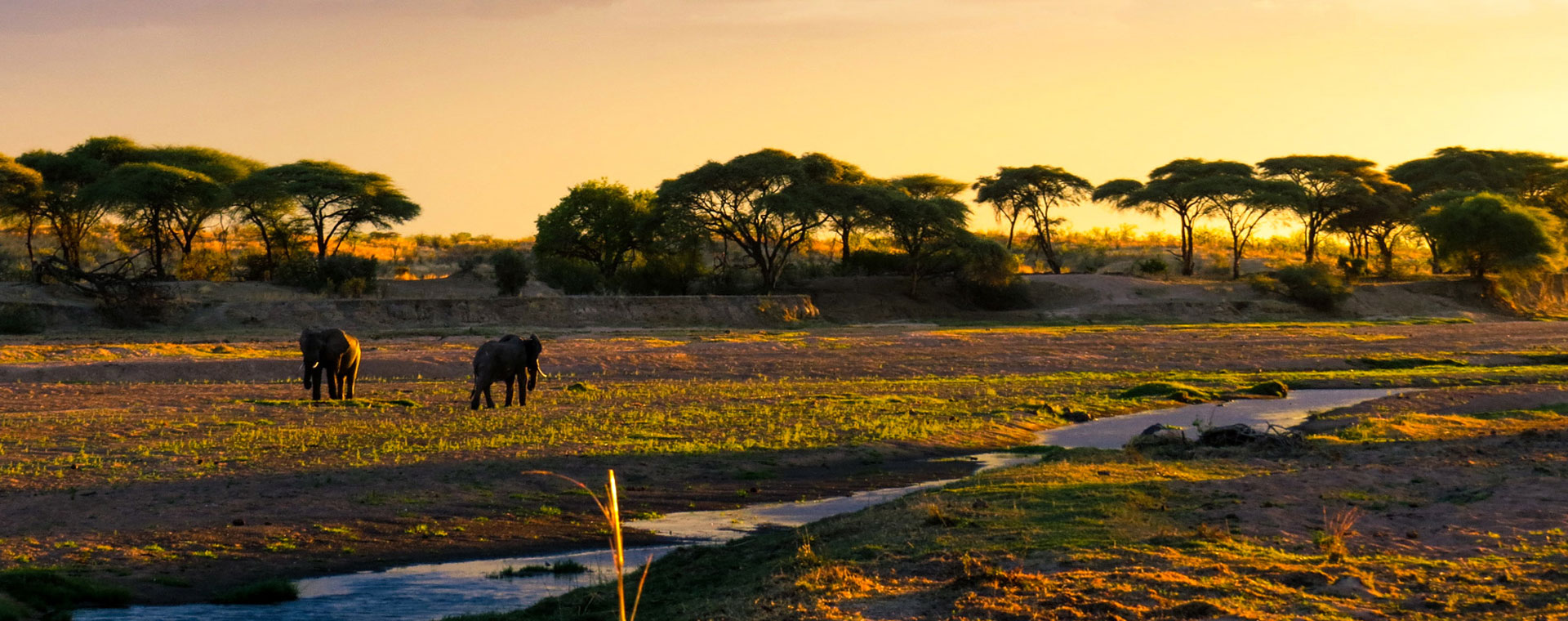 Explore Tanzania’s Weather & Climate