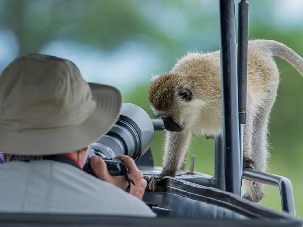 Tanzania Photographic Safaris Tanzania