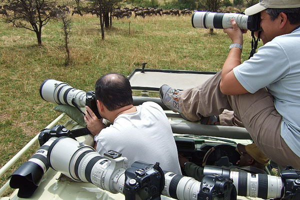 Tanzania Photographic Safaris Ways African Safaris