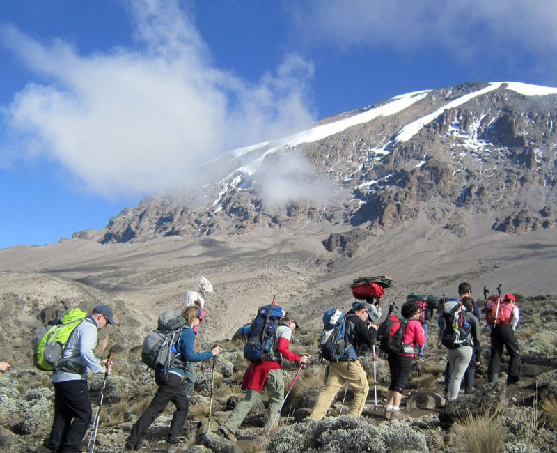 Which Kilimanjaro Route to Choose Ways African Safaris