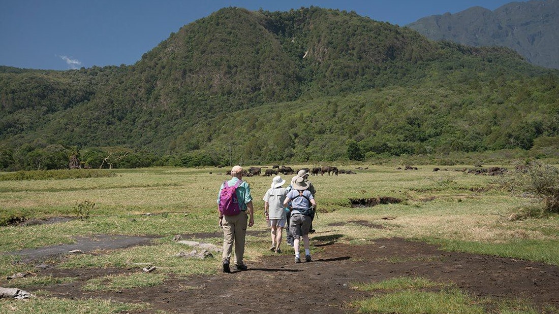 2 Day Safari Arusha Tarangire National Park Ways African Safaris