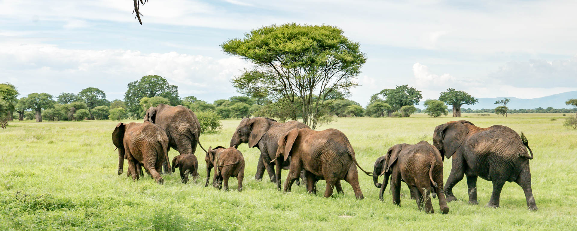 2 Day Safari Explore Arusha & Tarangire National Park