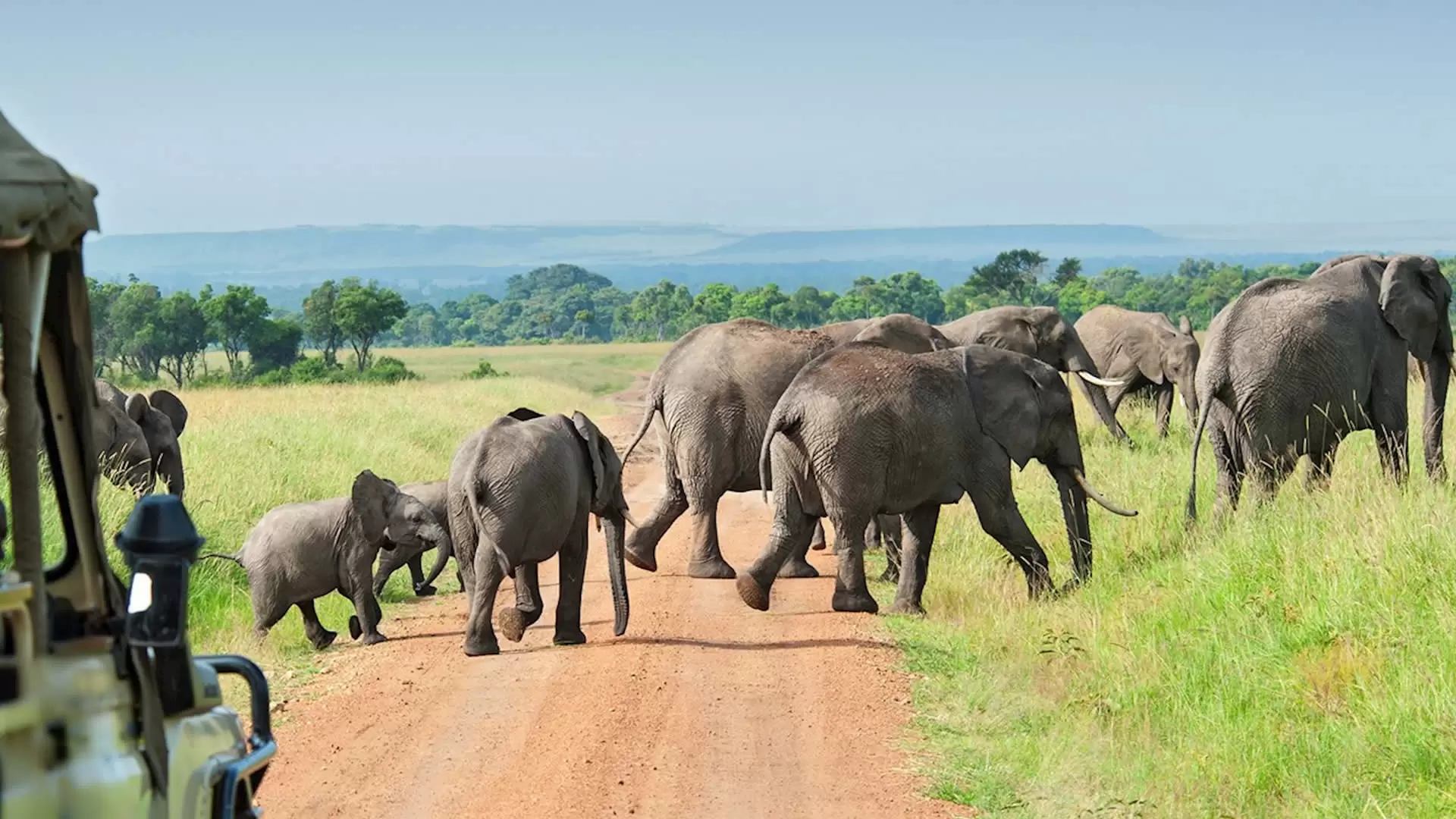 2 Day Safari from Dar es Salaam to Mikumi National Park