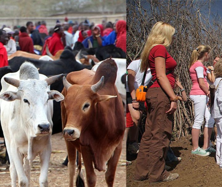 3 Day Maasai Cultural Longido Tours Ways African Safaris