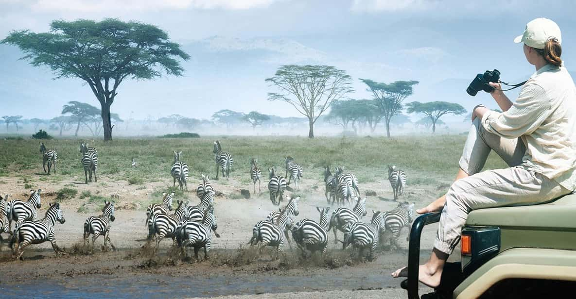 3 Day Tanzania Safari from Zanzibar