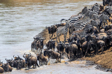 3 Days Fly in Tanzania Safari to Ngorongoro & Serengeti