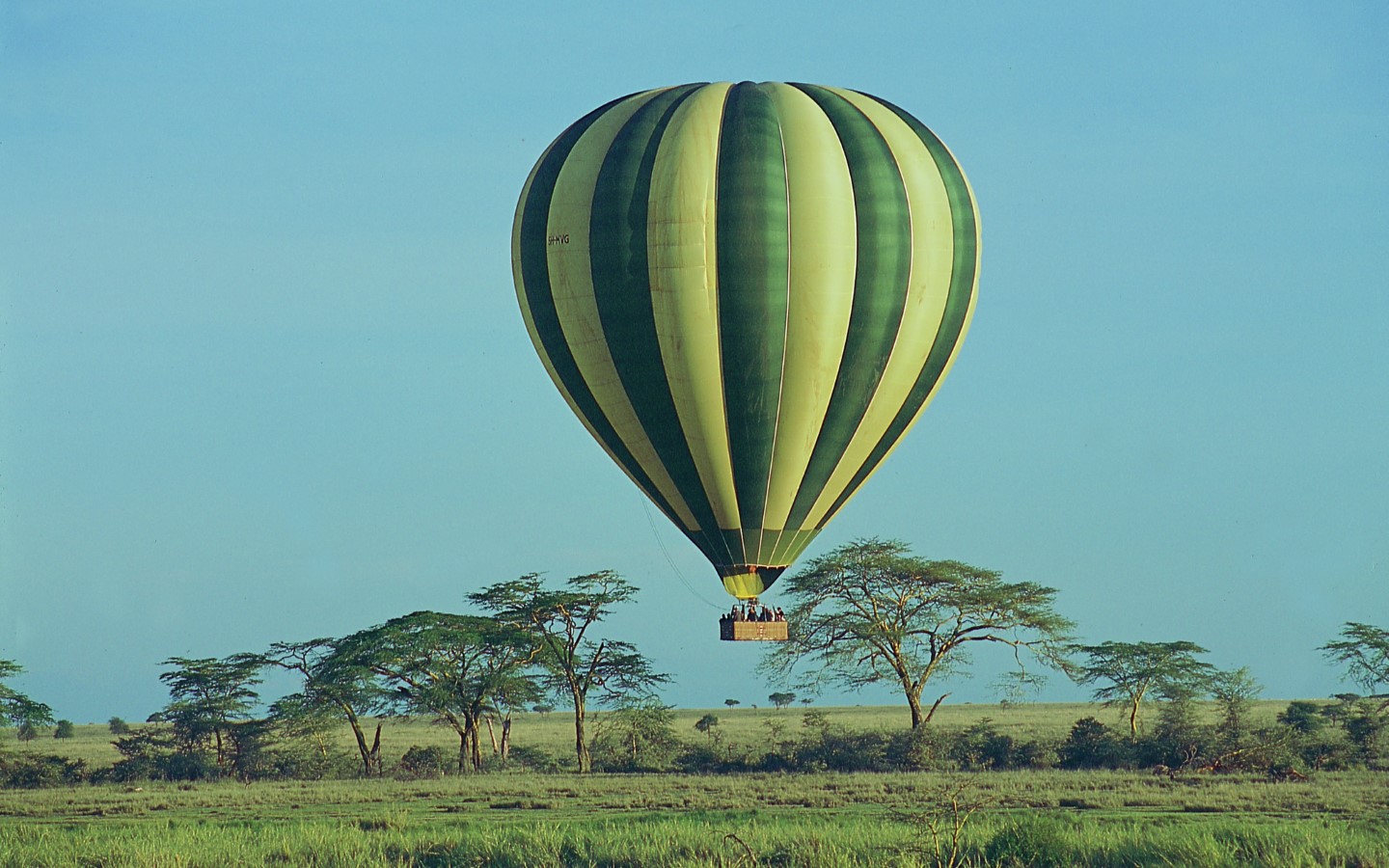 3 Days Fly in Tanzania Safari to Ngorongoro and Serengeti Ways African Safaris