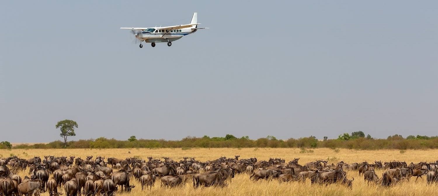 3 Days Fly-in Tanzania Safari to Ngorongoro and Serengeti