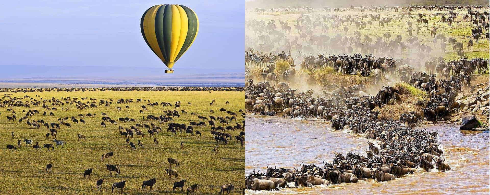 8Day Western Wildebeest Migration May to July in Mid Range Ways African Safaris