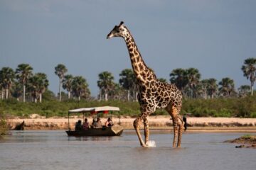 Boat Safari Nyerere National Park Tanzania Ways African Safaris