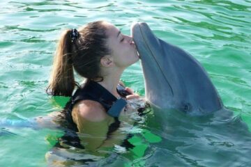 Day Trip to Dolphin Tour in Zanzibar