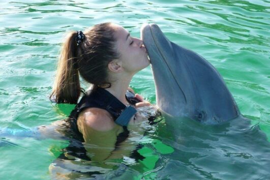 Day Trip to Dolphin Tour in Zanzibar