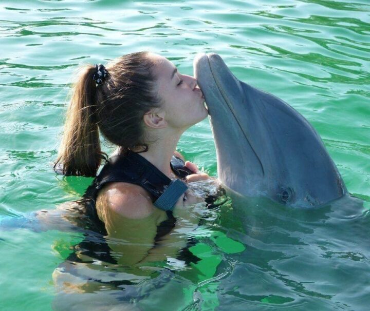 Day Trip to Dolphin Tour in Zanzibar