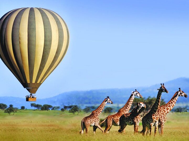 Serengeti Balloon Safaris in Tanzania W A S