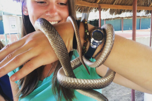 Snake park Maasai Museum Camel Ride W A S