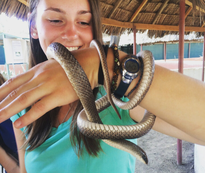 Snake park Maasai Museum Camel Ride W A S