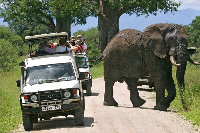 4 Days Southern Tanzania Safari Mikumi & Udzungwa Ways